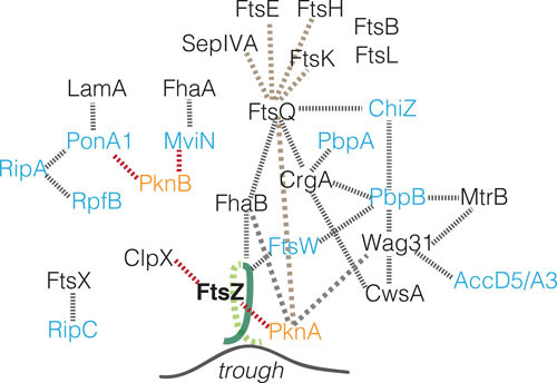 FIGURE 3