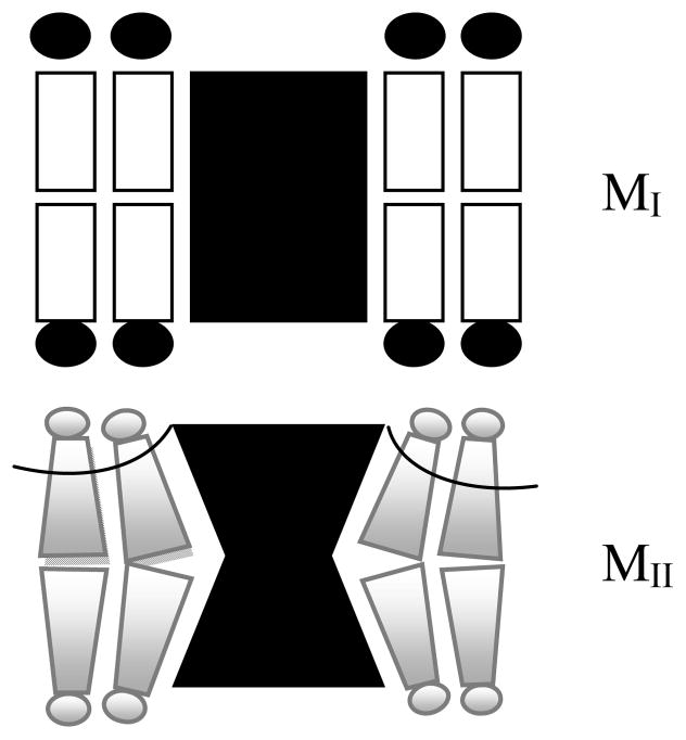 Fig. 11