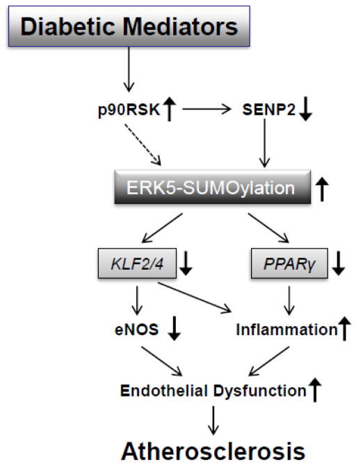 Fig.3