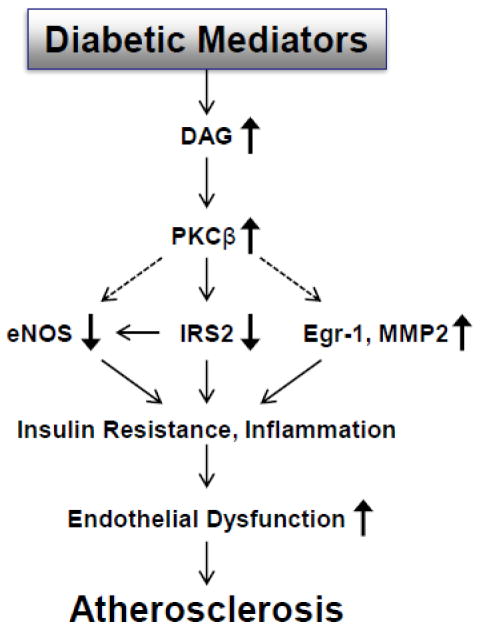 Fig.2