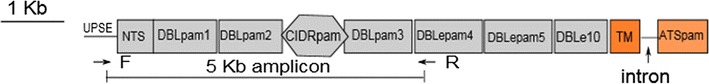 Fig. 1