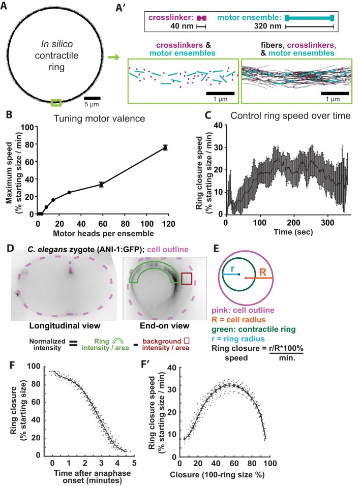 FIGURE 1: