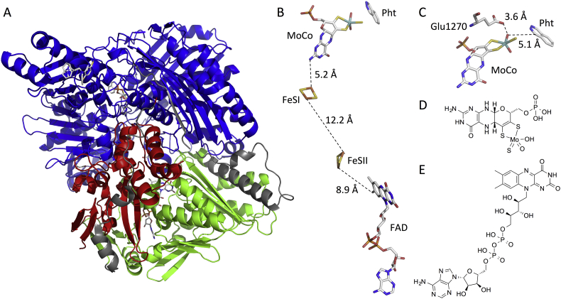 Fig. 2