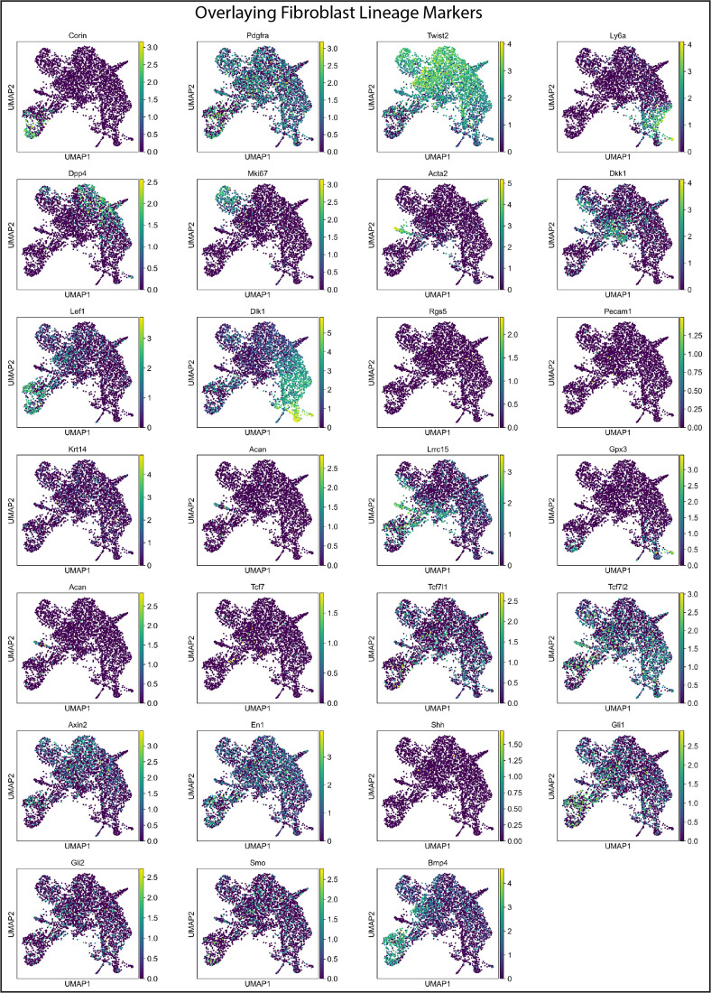 Figure 2—figure supplement 1.