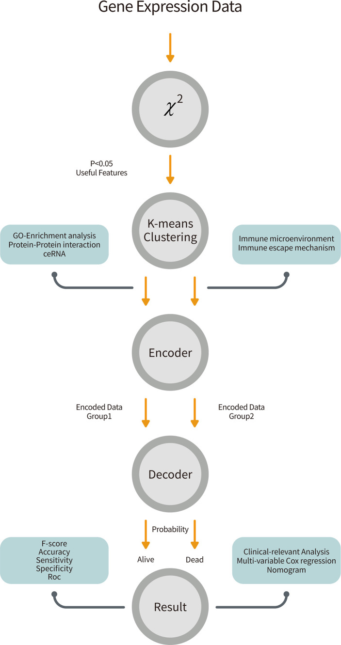 Figure 1