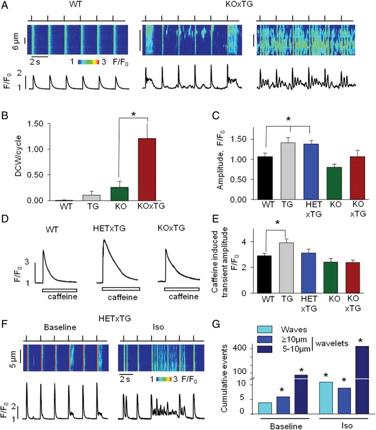 Figure 4