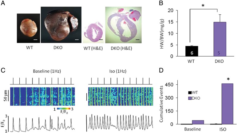 Figure 6