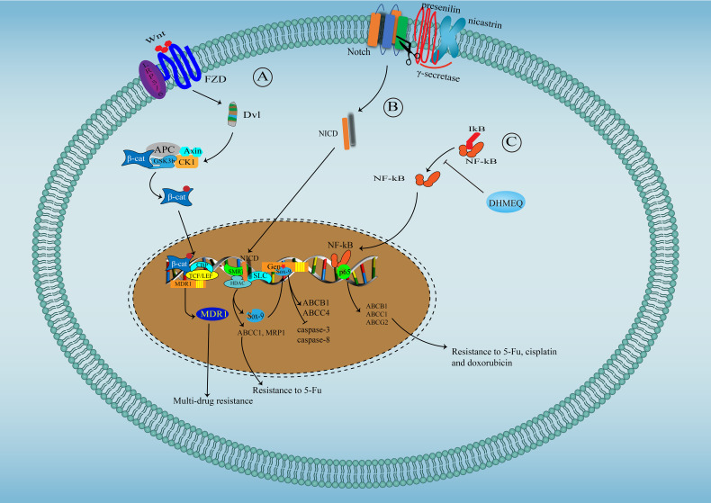 Figure 2