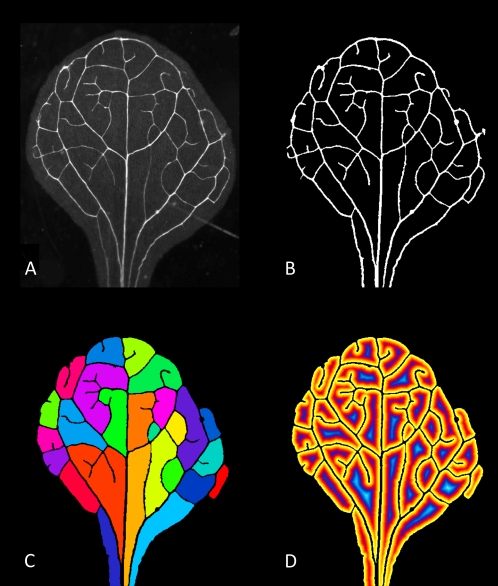 Figure 1.