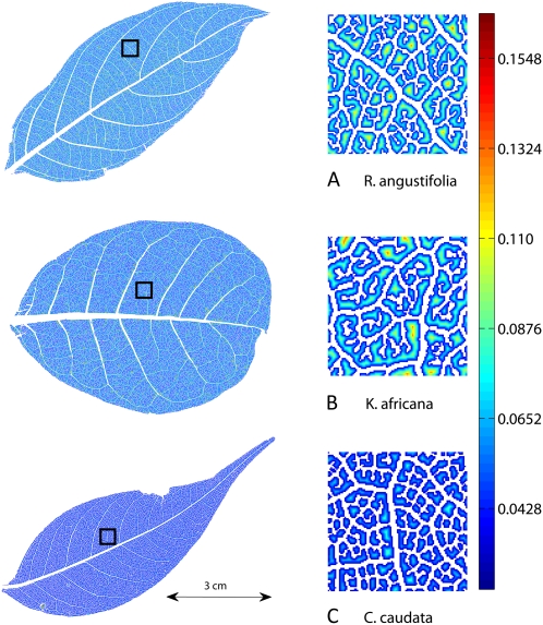 Figure 3.