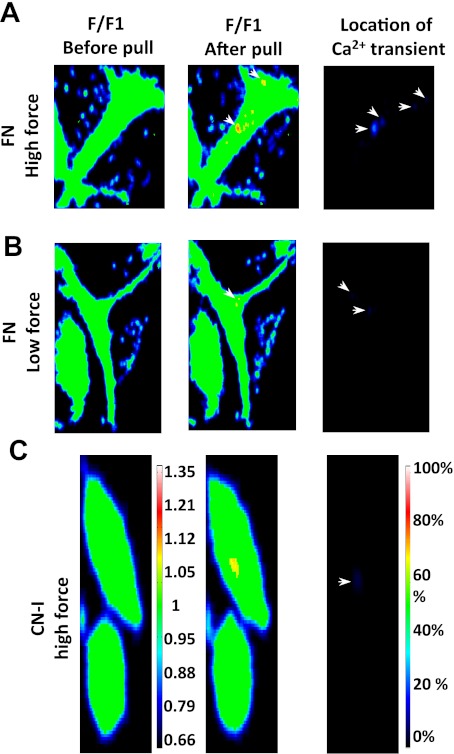 Fig. 4.