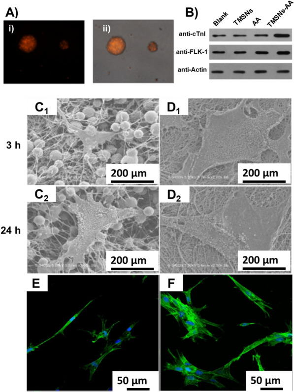 Fig. 13