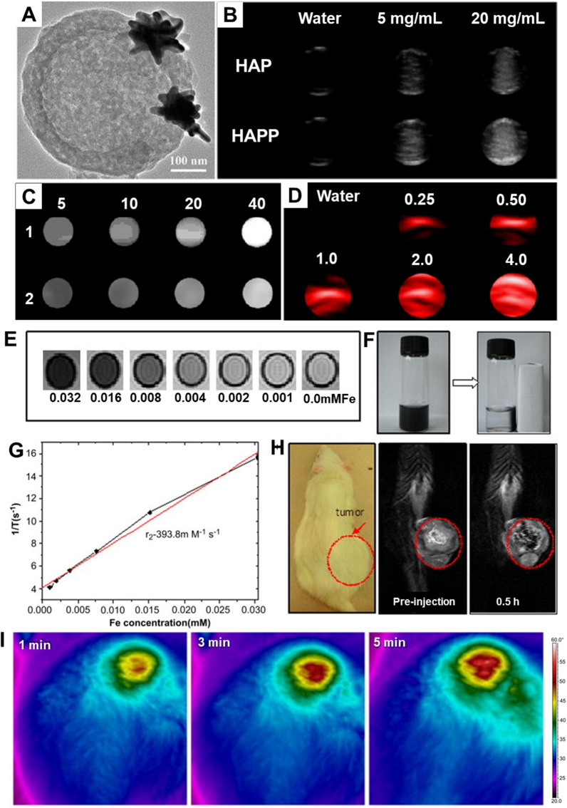 Fig. 12