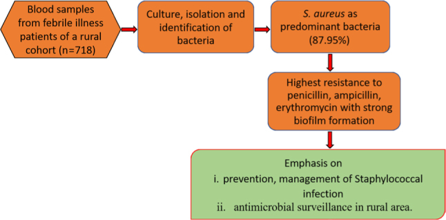 graphic file with name j_pjm-2023-005_fig_002.jpg