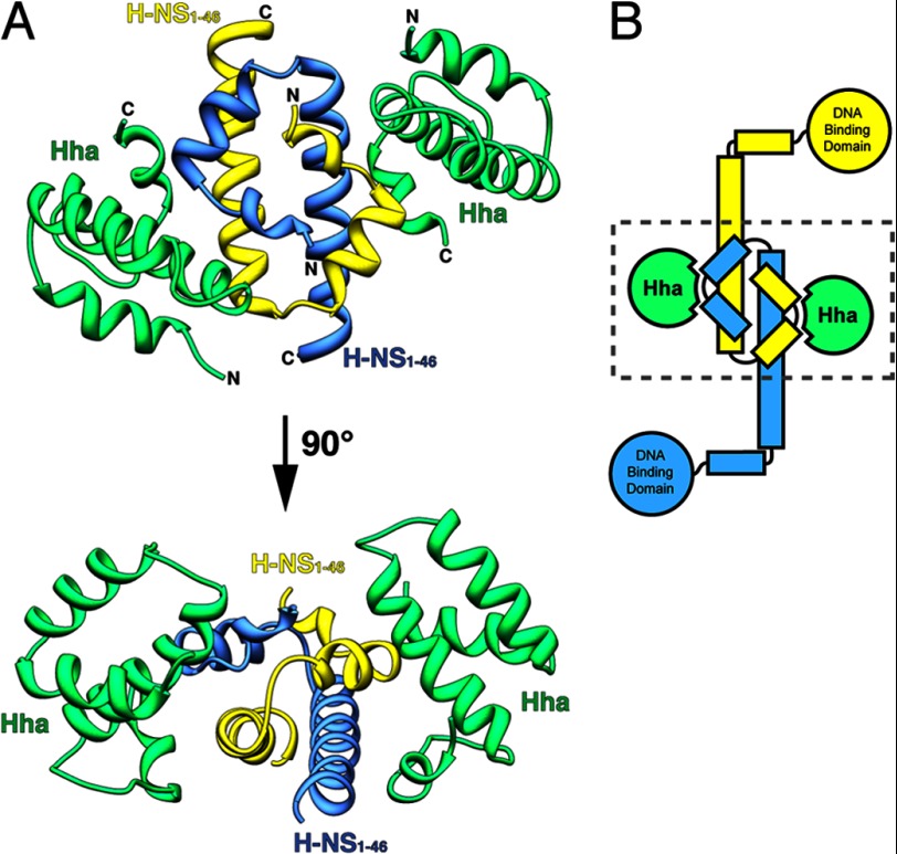 FIGURE 1.