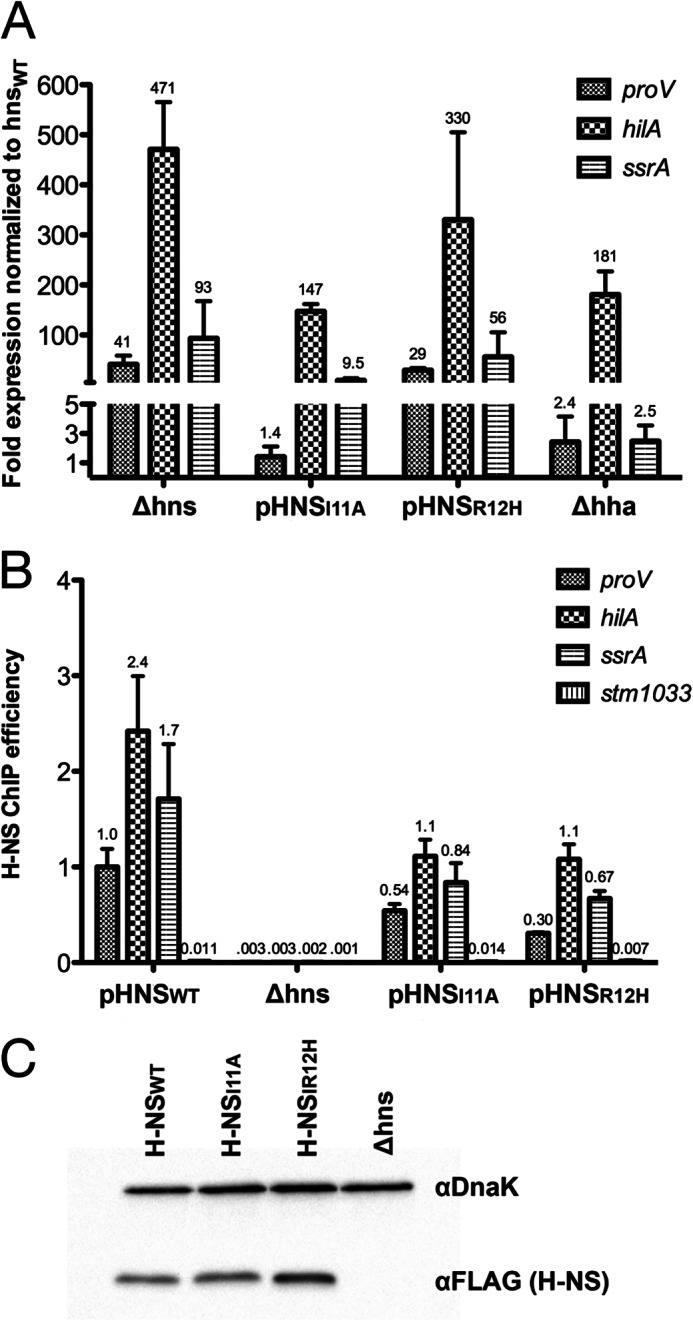 FIGURE 4.