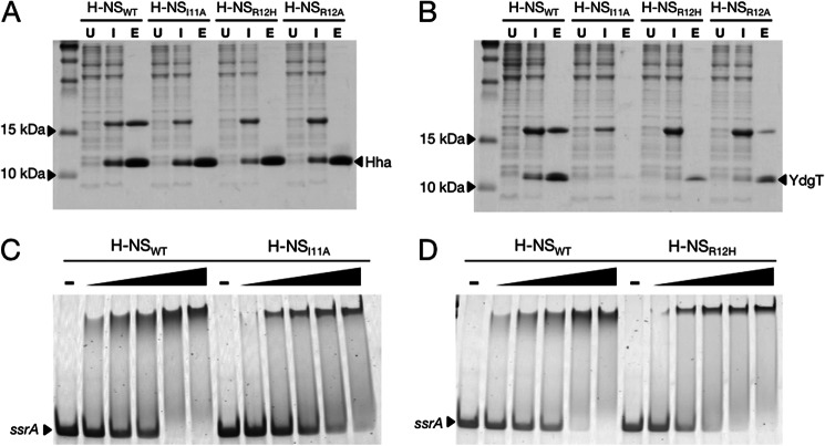 FIGURE 2.