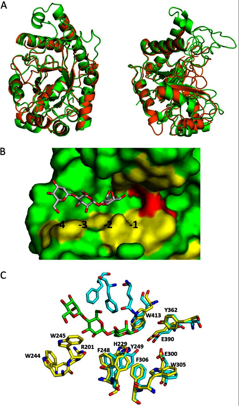 FIGURE 5.