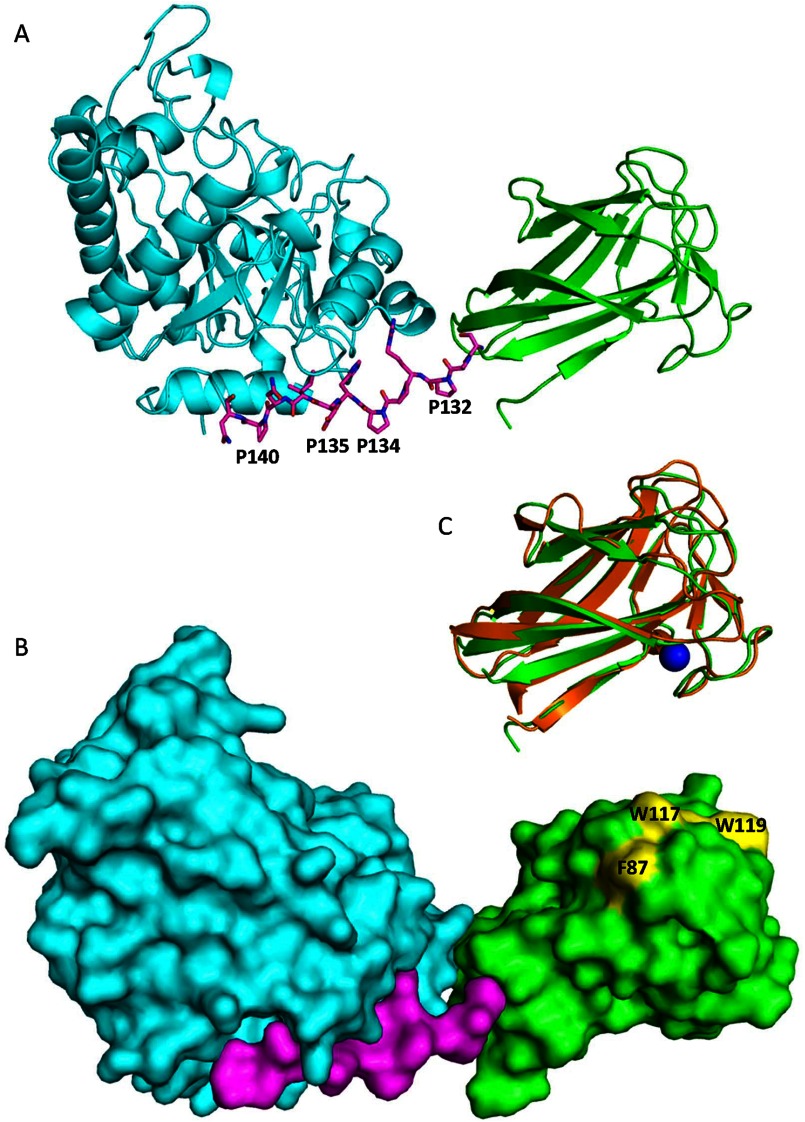 FIGURE 6.