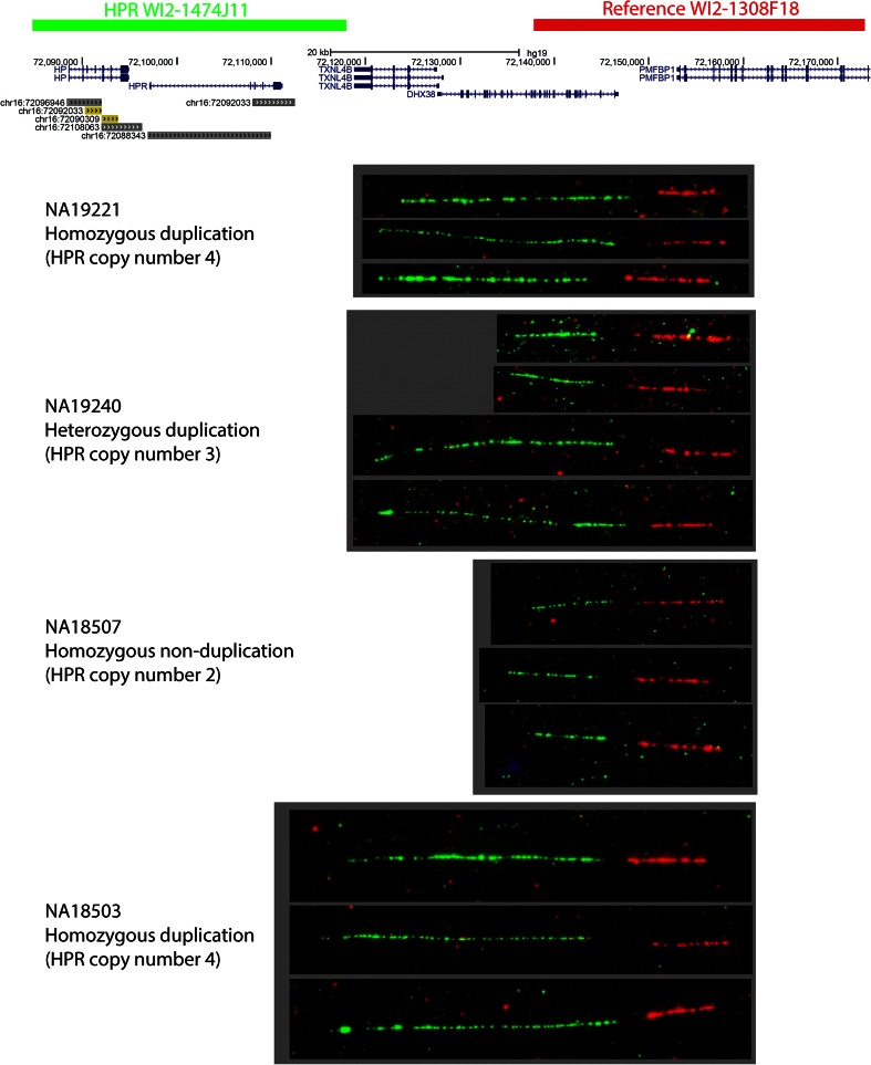 Fig. 3