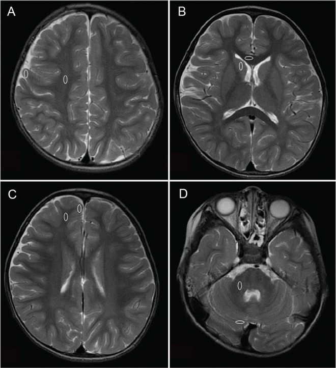 Fig 1.