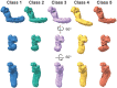 Figure 1—figure supplement 5.