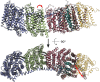Figure 4—figure supplement 1.