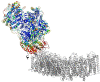 Figure 5—figure supplement 2.