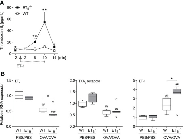 Figure 6