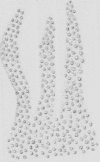 150-5
