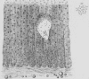 150-5