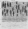 150-5