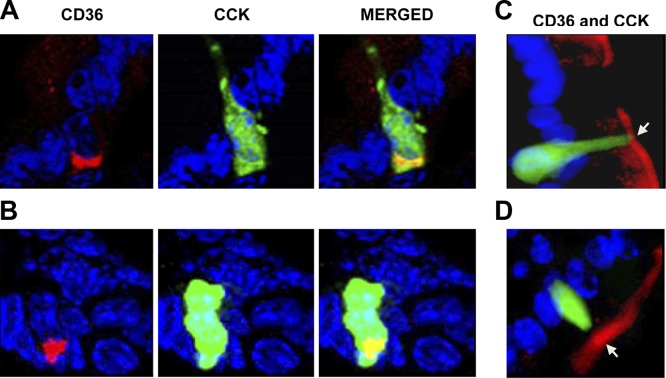 Figure 3.