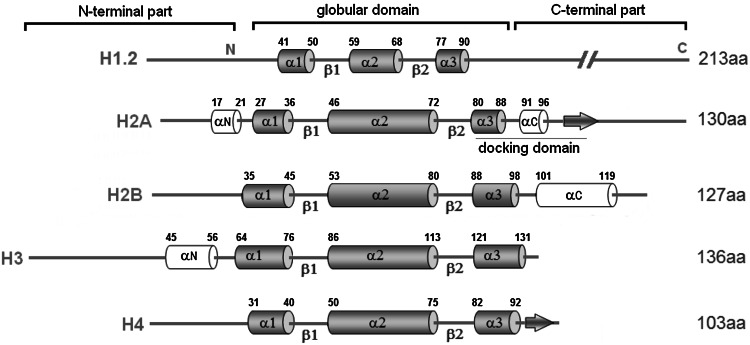 Fig. 3