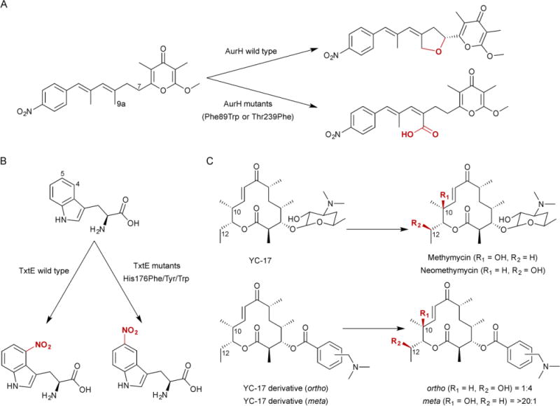 Fig. 10