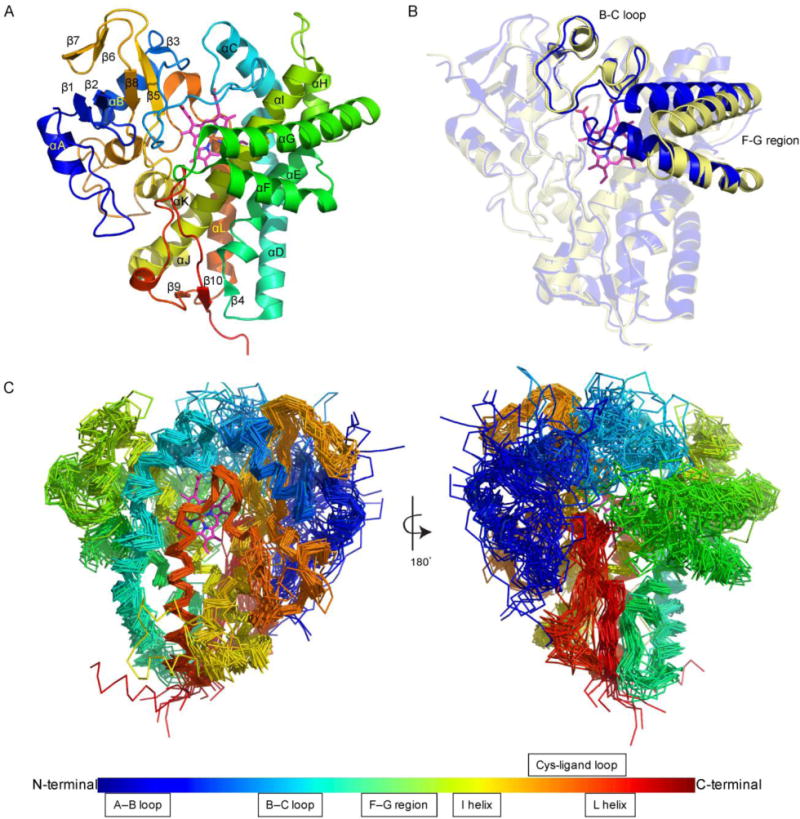 Fig. 7