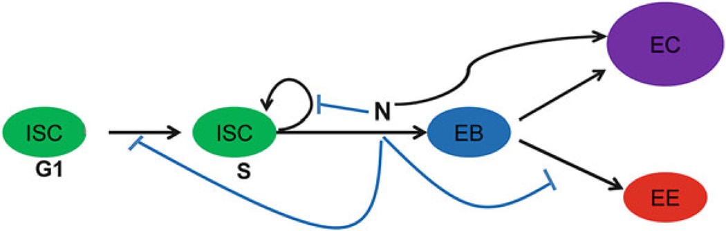 Fig. 5.2