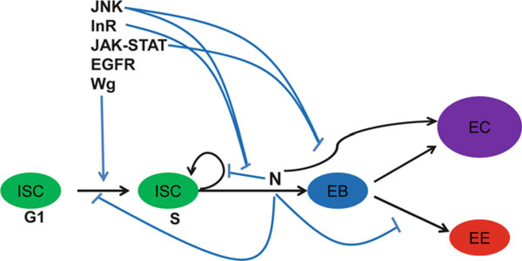 Fig. 5.4