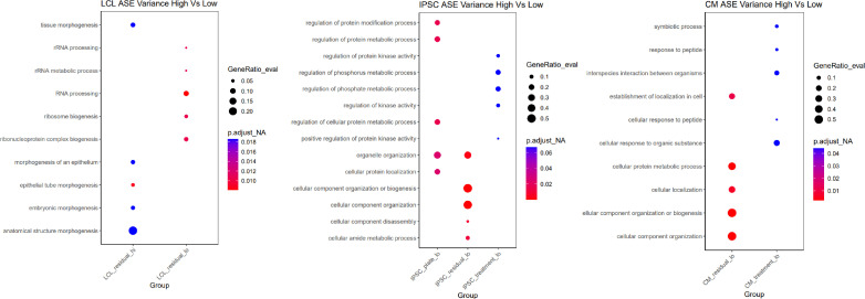 Figure 5—figure supplement 2.