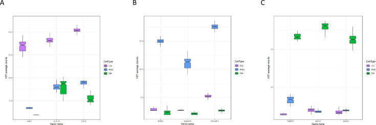 Figure 1—figure supplement 2.