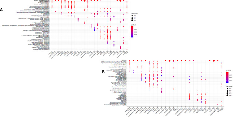 Figure 1—figure supplement 6.