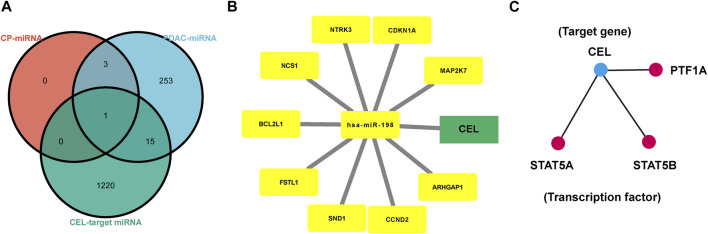 FIGURE 7