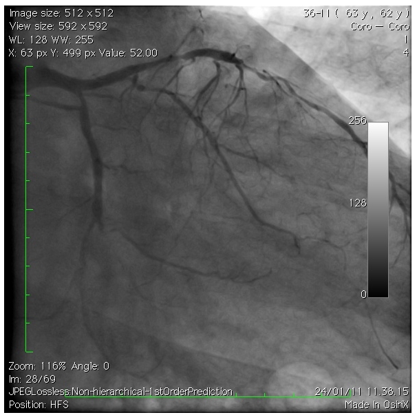 Figure 1: