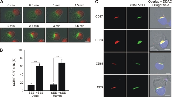 Fig. 4.