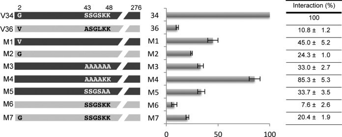 Figure 5.