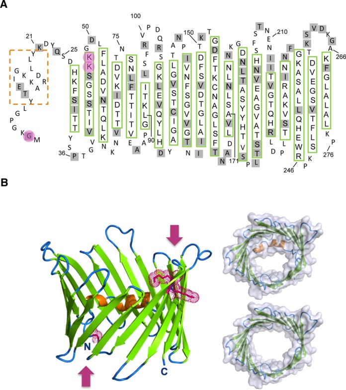 Figure 6.