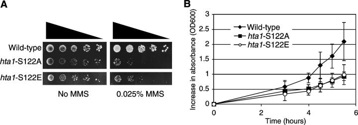 Figure 2.—