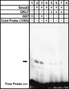<b>Figure 3.</b>