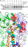 FIG 10