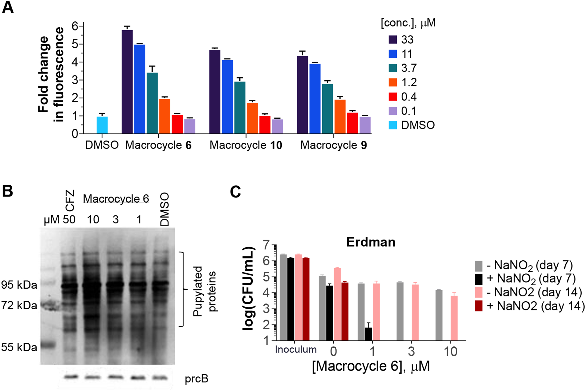 Figure 6.